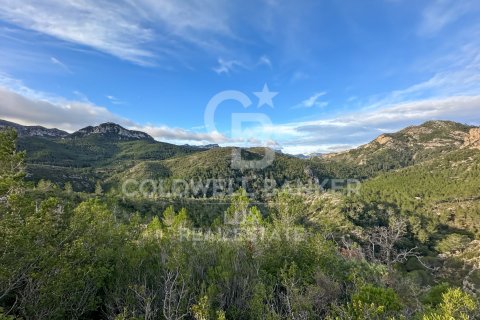 Parcela de 279167 m² en venta en Pratdip, Tarragona, Cataluña, Spain № 5548 - foto 12