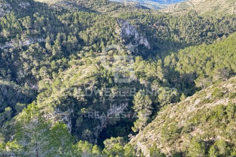 Parcela de 279167 m² en venta en Pratdip, Tarragona, Cataluña, Spain № 5548 - foto 13