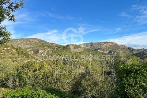 Parcela de 279167 m² en venta en Pratdip, Tarragona, Cataluña, Spain № 5548 - foto 18