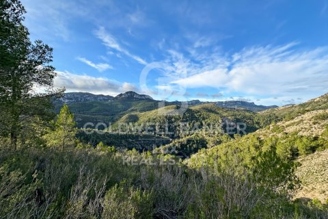 Parcela de 279167 m² en venta en Pratdip, Tarragona, Cataluña, Spain № 5548 - foto 9