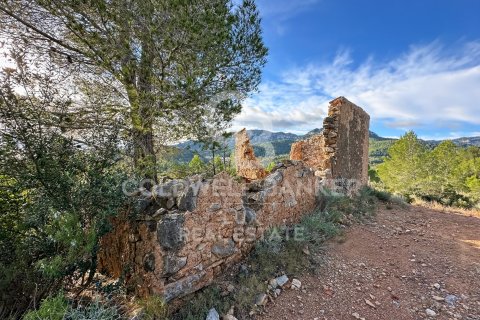 Parcela de 279167 m² en venta en Pratdip, Tarragona, Cataluña, Spain № 5548 - foto 16