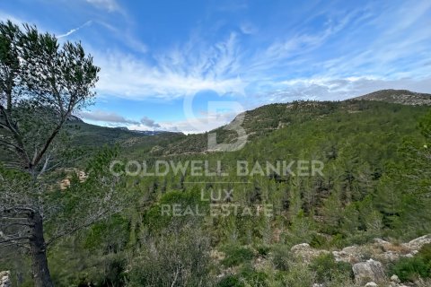 Parcela de 279167 m² en venta en Pratdip, Tarragona, Cataluña, Spain № 5548 - foto 5