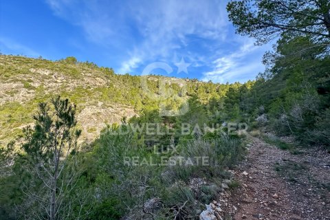 Parcela de 279167 m² en venta en Pratdip, Tarragona, Cataluña, Spain № 5548 - foto 8