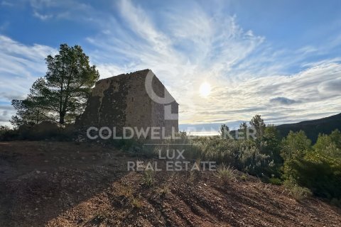 Parcela de 279167 m² en venta en Pratdip, Tarragona, Cataluña, Spain № 5548 - foto 1