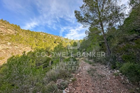 Parcela de 279167 m² en venta en Pratdip, Tarragona, Cataluña, Spain № 5548 - foto 7