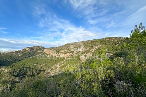 Parcela de 279167 m² en venta en Pratdip, Tarragona, Cataluña, Spain № 5548 - foto 6