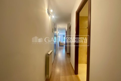 Apartamento de 2 dormitorios en venta en Principado De Andorra (Ninguna Poblacion Tiene C.P.), Lérida, Cataluña, Spain № 7743 - foto 13