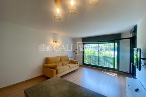 Apartamento de 2 dormitorios en venta en Principado De Andorra (Ninguna Poblacion Tiene C.P.), Lérida, Cataluña, Spain № 7743 - foto 20